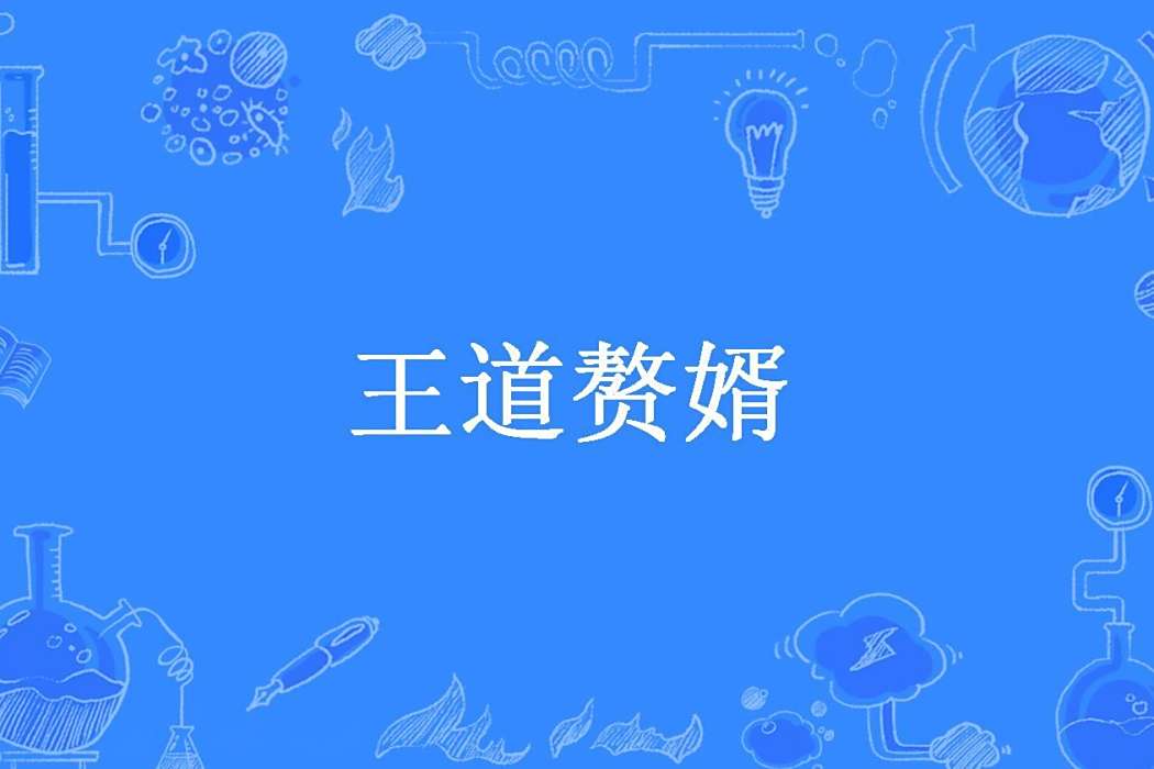王道贅婿 王道贅婿