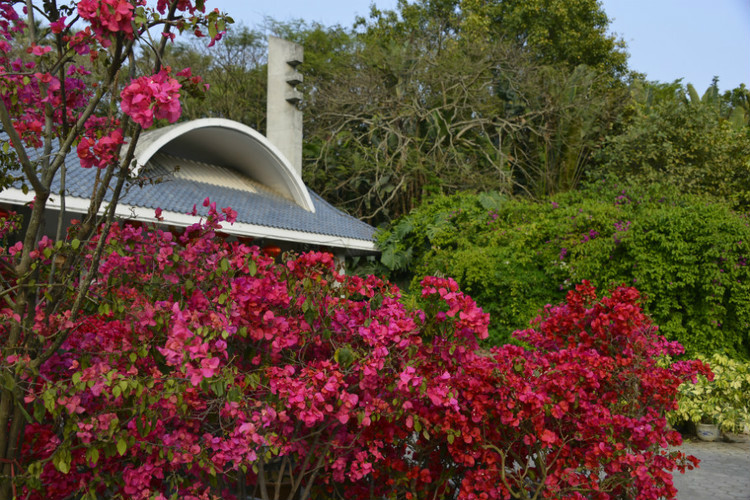 園林植物園