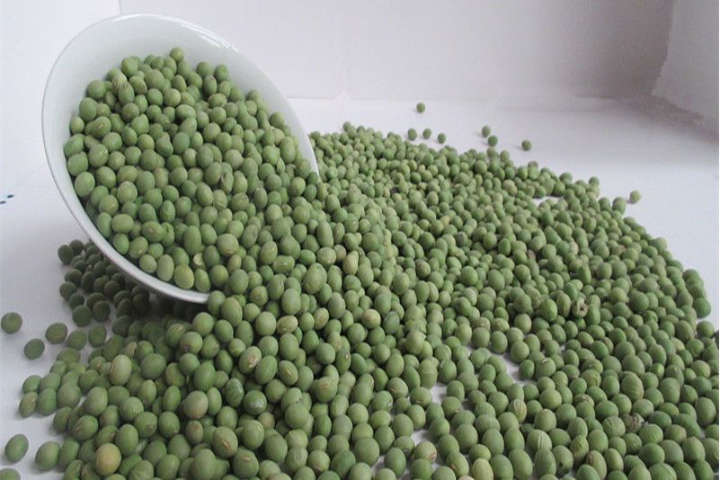 青皮豆-1 青皮豆-1