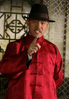 鐵梨花(2010年陳數、巍子聯合演繹抗日電視劇)