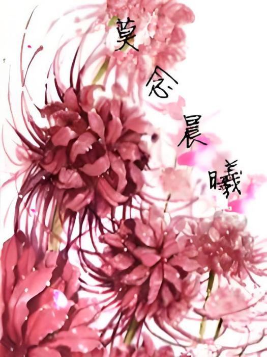 莫念晨曦 莫念晨曦