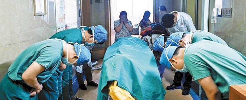 深圳11歲小學生臨終前捐器官救人