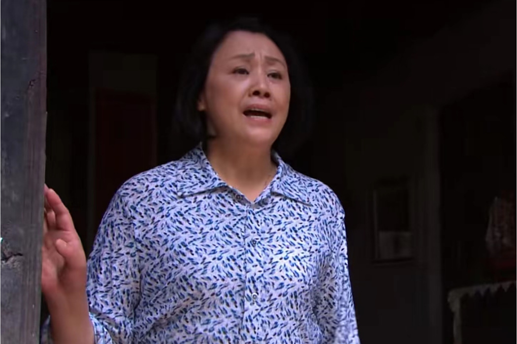劉鳳花(鄉村喜劇《賴漢的幸福指數》中的角色) 劉鳳花(鄉村喜劇《賴漢的幸福指數》中的角色)