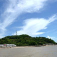 淇澳島 淇澳島