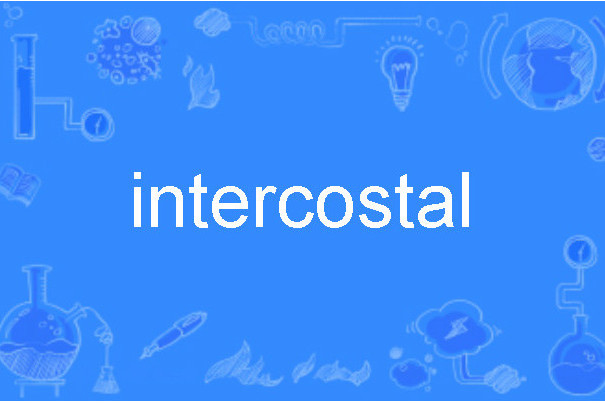 intercostal intercostal
