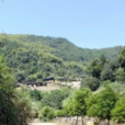 大坑村(福建福安市潭頭鎮轄村) 大坑村(福建福安市潭頭鎮轄村)
