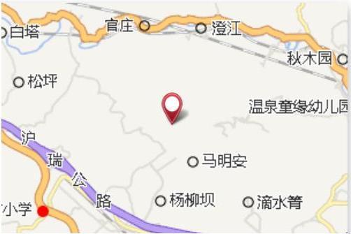 上龍樹