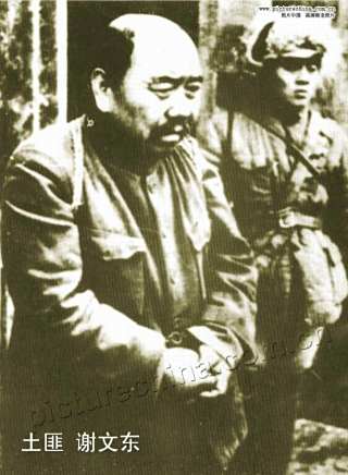 張秋歌 張秋歌
