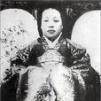 純獻皇貴妃