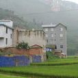 李子坪村(雲南昆明市沙朗鄉下轄村) 李子坪村(雲南昆明市沙朗鄉下轄村)