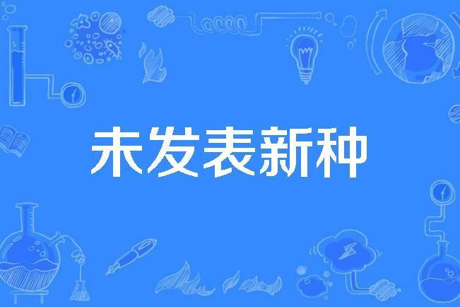 未發表新種 未發表新種