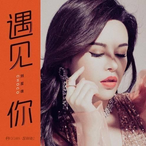 遇見你(劉至佳演唱單曲) 遇見你(劉至佳演唱單曲)