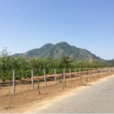 三山(福建省福州市三山) 三山(福建省福州市三山)