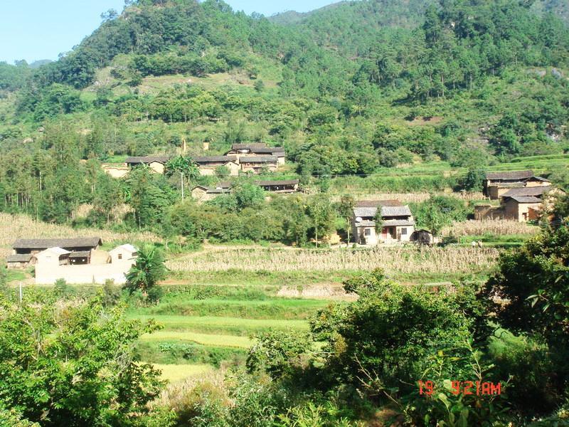 龍舍新寨村 龍舍新寨村