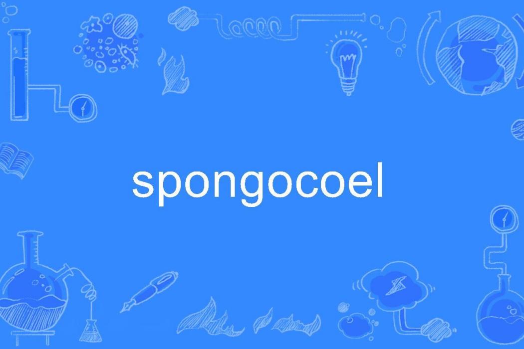 spongocoel spongocoel