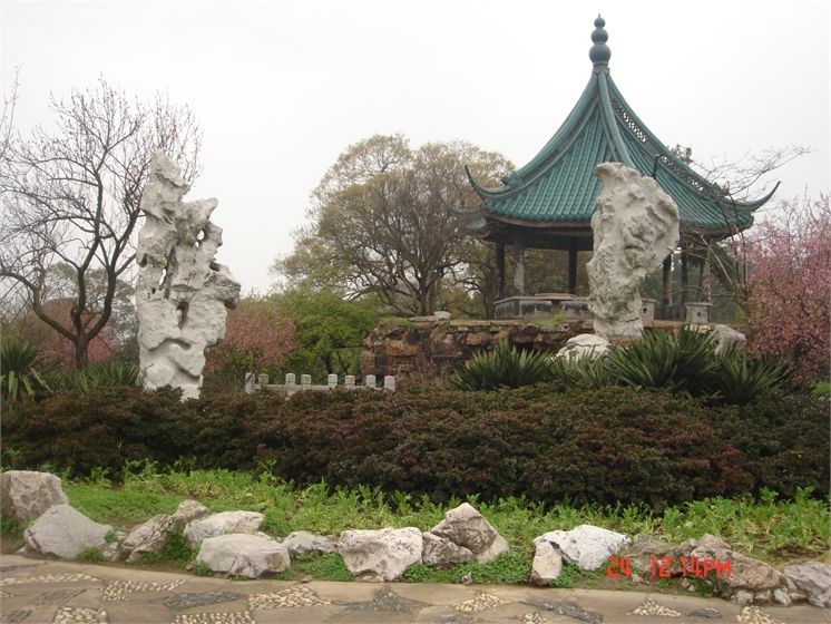 泰山梅園 泰山梅園