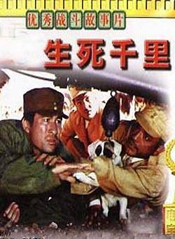 方舟波 方舟波