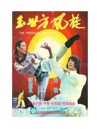 李小飛(中國台灣男演員、歌手、企業家)