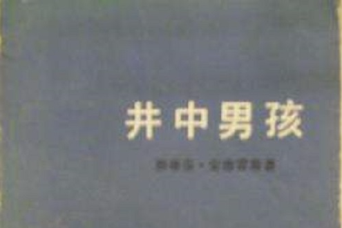 井中男孩(德國作家史蒂芬·安德雷斯創作的長篇小說) 井中男孩(德國作家史蒂芬·安德雷斯創作的長篇小說)
