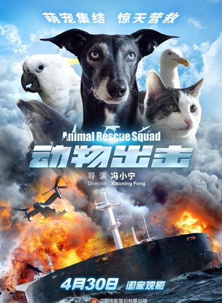 張梓玲 張梓玲