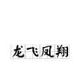 龍飛鳳翔 龍飛鳳翔