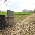 古台寺遺址 古台寺遺址