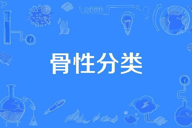 骨性分類 骨性分類