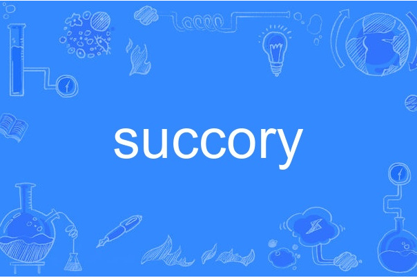 succory succory