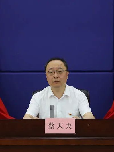 蔡天夫 蔡天夫