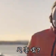 愛的語言(ylvis)