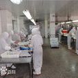 ISO14011 ISO14011