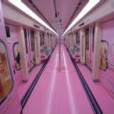 1314愛情專列 1314愛情專列