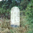 唐貴起義