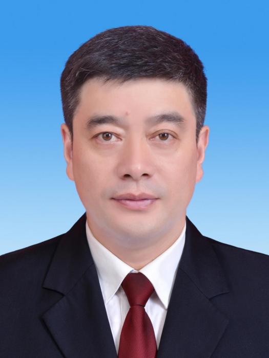 王勇(河南省南陽市南召縣人民政府副縣長、公安局黨委書記、局長)