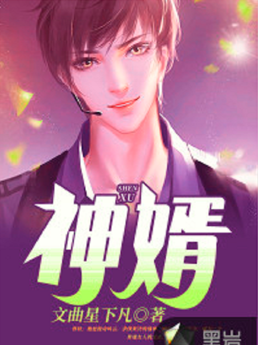 神婿(黑岩網小說) 神婿(黑岩網小說)