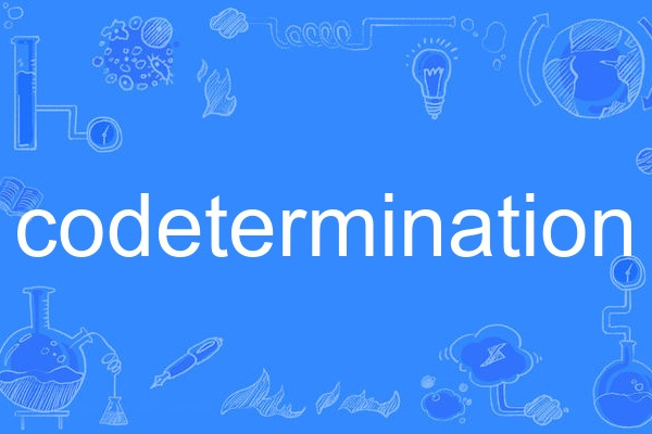 codetermination codetermination