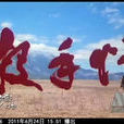 殺手情