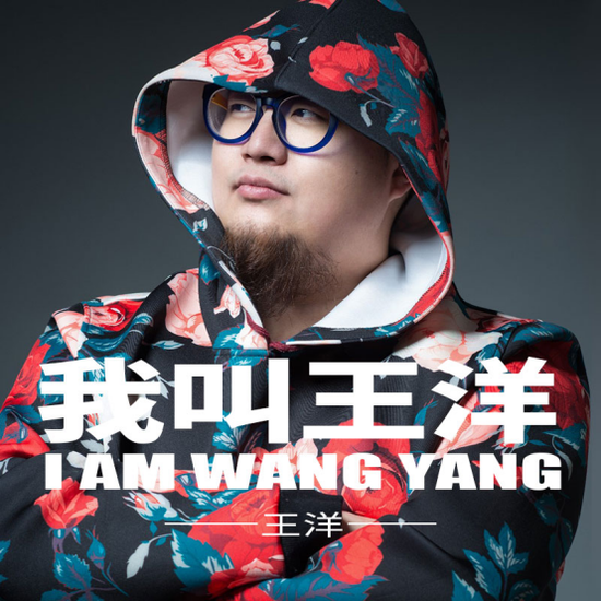 我叫王洋 我叫王洋