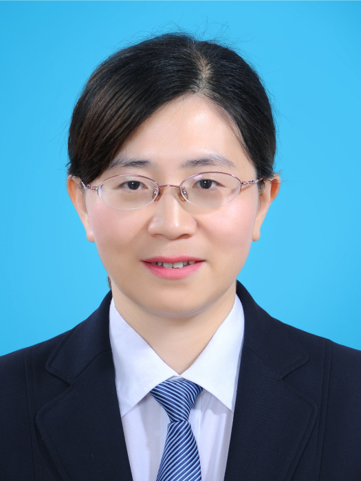 高麗敏(湖南省懷化市洪江區財政局黨組成員、副局長)
