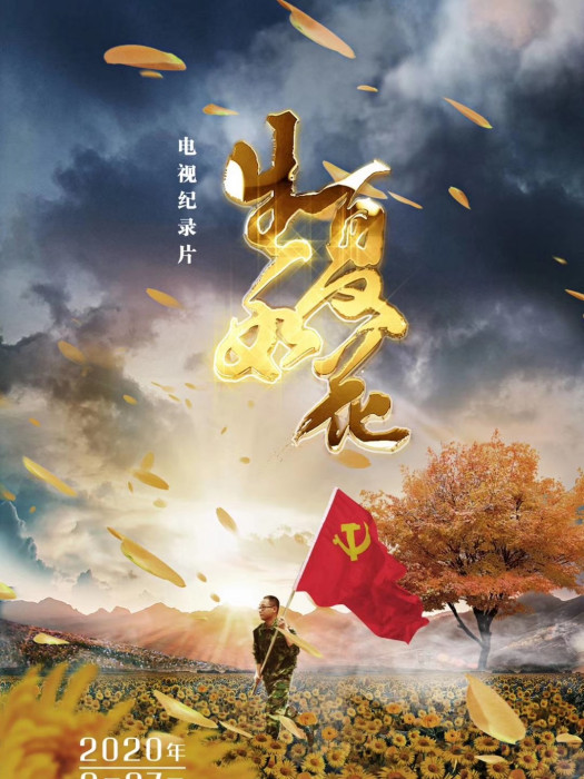 生如夏花(紀錄片) 生如夏花(紀錄片)