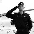 龍飛虎(電視劇《特警力量》) 龍飛虎(電視劇《特警力量》)