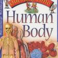 Question Time Human Body Question Time Human Body