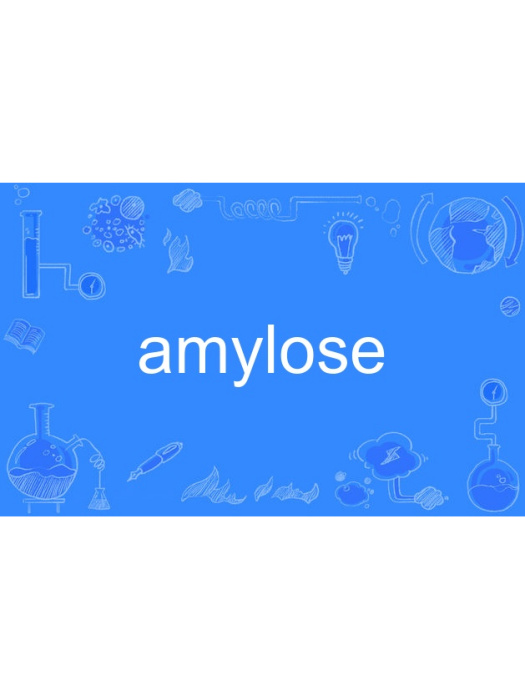 amylose amylose