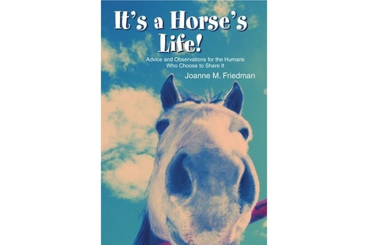 It\x27s a Horse\x27s Life! It\x27s a Horse\x27s Life!