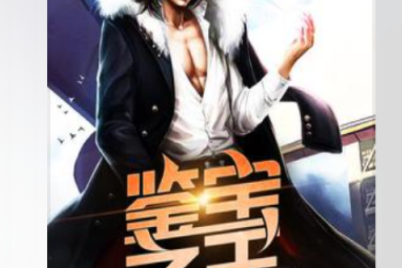 鑒寶之王(來碗小混沌所著小說) 鑒寶之王(來碗小混沌所著小說)