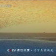 請您欣賞 請您欣賞