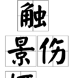 觸景傷懷 觸景傷懷