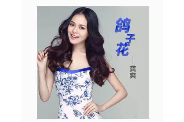 鴿子花(龔爽演唱的歌曲) 鴿子花(龔爽演唱的歌曲)