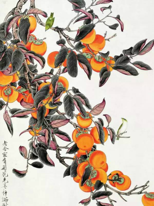 丹柿圖 丹柿圖