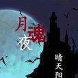 月魂夜 月魂夜
